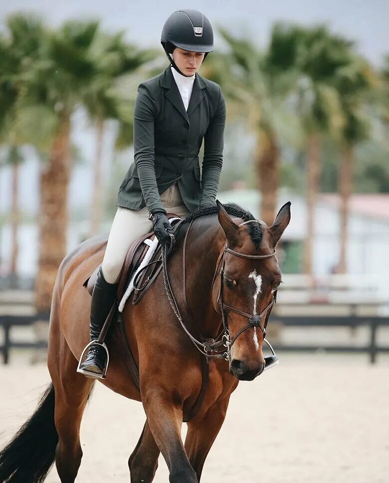 Windcrest Acres Annual Horse Show Show Jumping by Zoubstance Horse animation, Ho