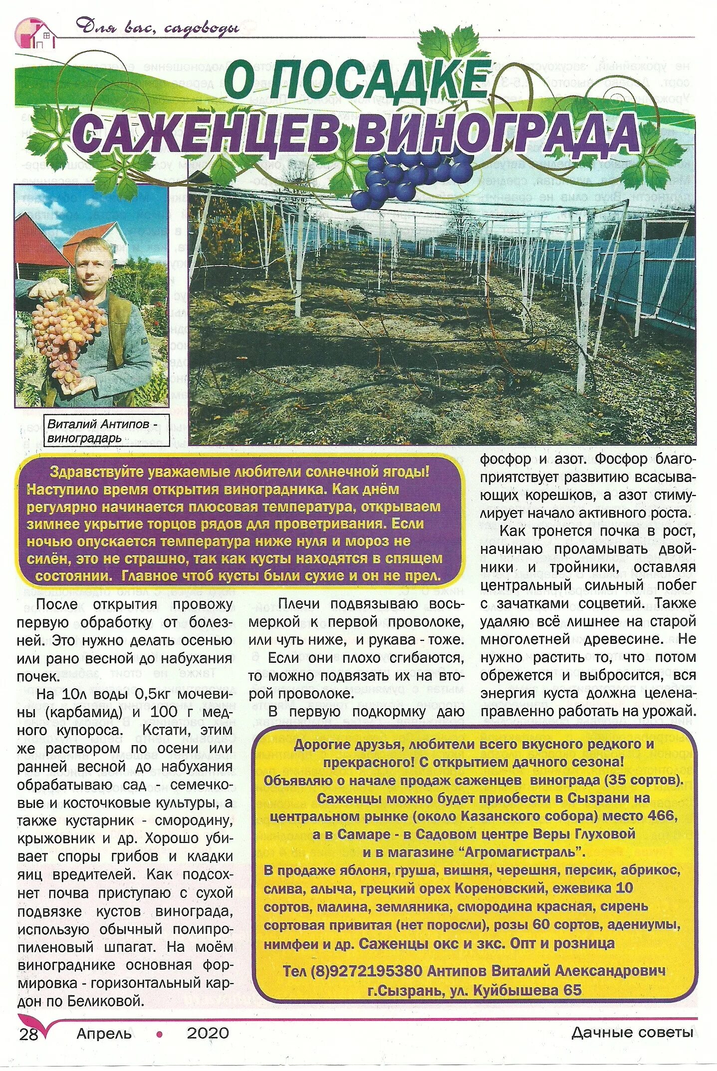 Дачные советы семена алтая. Журнал дачный совет. Дачные советы. Дачные советы с галиной старосельцевой. Дачные советы.