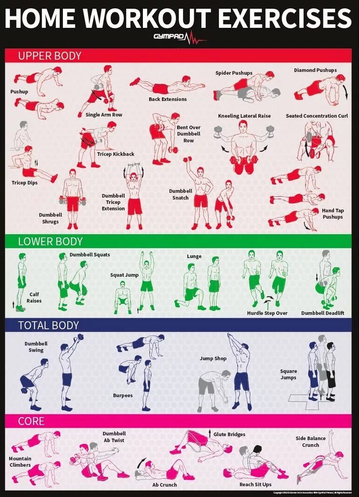 Work out exercises. Плакат dumbbell workout. biceps workout плакат. workout exercise. home workout dumbbell.