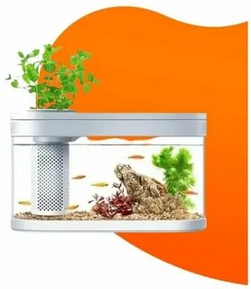 Xiaomi fish