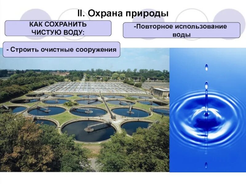 Обществознание охранять природу значит охранять жизнь. Охранять природу значит охранять жизнь. охранять природу значит охранять жизнь обществознание. охранять природу значит охранять жизнь кластер. охранять природу значит охранять жизнь проект.