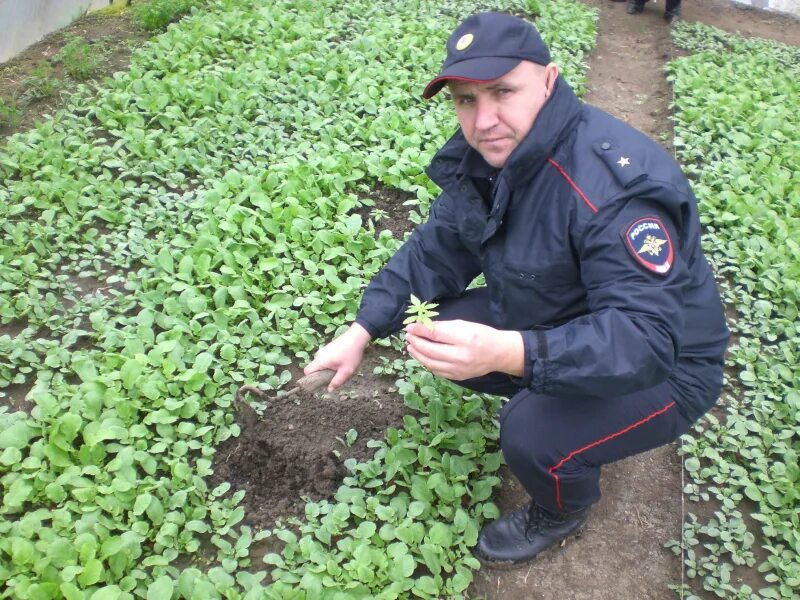 Незаконно участковый