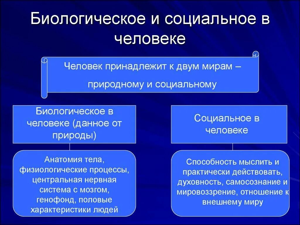 Как объяснить это с биологической точки зрения. Соотношение биологического и социального в человеке философия. Социальное в человеке. Природное и социальное в человеке. Взаимосвязь социального и биологического.