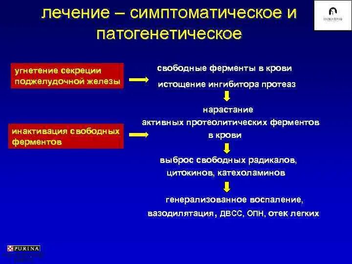 Средство патогенетической терапии. Патогенетическая терапия панкреатита. патогенетическая терапия острого панкреатита. патогенетическая и симптоматическая терапия. виды патогенетической терапии.