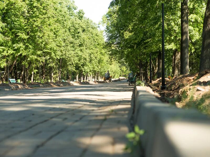 Центральный парк горького казань. Парк Горького Казань. Парк Максима Горького Казань. Центральный парк культуры и отдыха имени Горького (Казань). Парк Горького Казань поле.