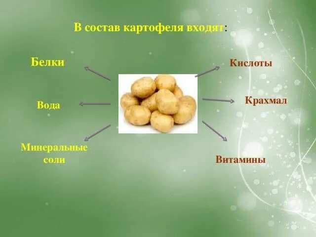 Сколько есть картошкой. Из чего состоит картофель. Питательные вещества в картофеле. Витамины в картофеле. Из чего состоит картошка.