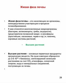 Фазы почвы