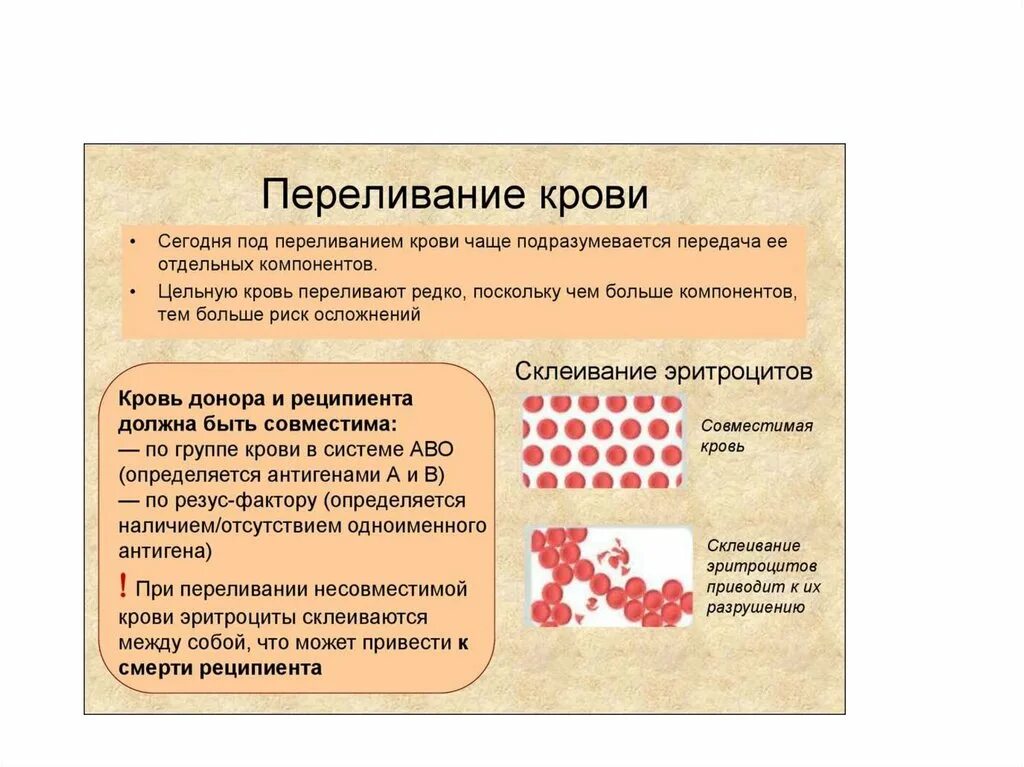 Золотая группа крови это. Группы плазмы крови. Группа крови в плазме крови. Плазма 4 группы крови. Плазма первой группы крови.