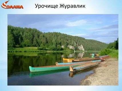 Сплав журавлик кын