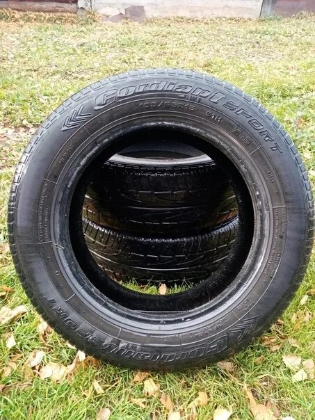 Cordiant 195/65 r15 лето. 185 60 R15 Black Edition. Фото одна шина Cordiant Comfort 185/60 r14. Cordiant 185 65 r15 купить