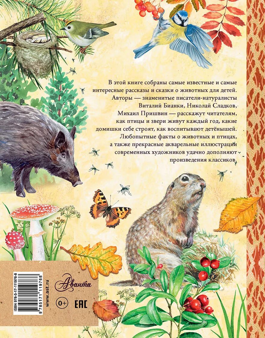 Сборник рассказов о животных. Книга рассказы о животных. Книга природа. Рассказы и сказки о животных. Рассказы и сказки о животных.