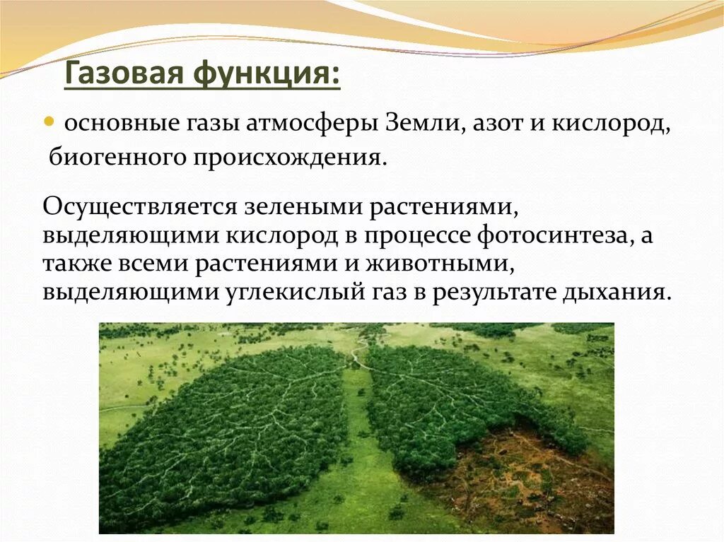 Функция живого вещества примеры