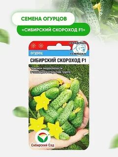 Сорт огурцов тонус
