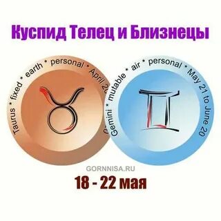Куспид телец близнецы