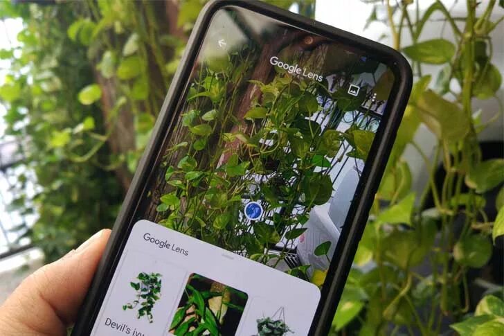 Google lens как пользоваться. Гугл ленс чипсяки. google lens определить растение. vanna google lens. цена микрософт ленс чехол.