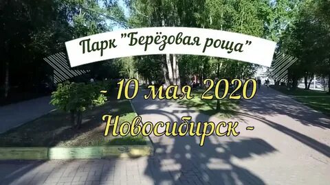 Парикмахерская березовая роща