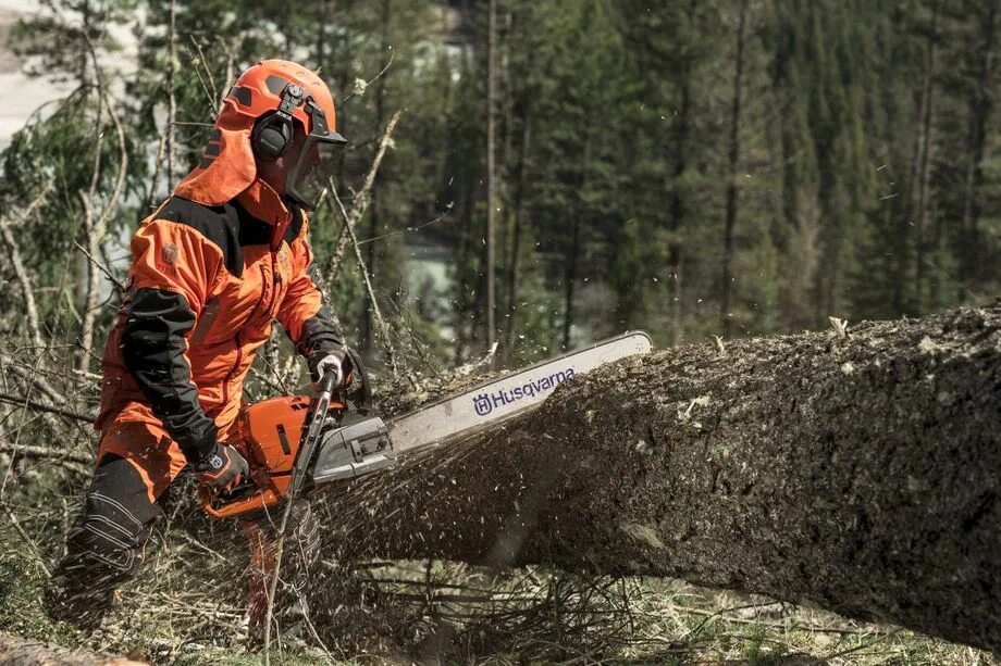 Бензопила Husqvarna 572 XP. Пила Husqvarna 572xp. Валка леса бензопилой Хускварна. Костюм вальщика Хускварна.