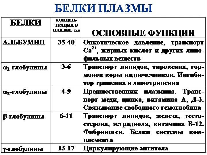 Фракции глобулинов. Белки плазмы крови их физиологическая роль. Функции белковых фракций крови. Белковые фракции плазмы крови. Белки плазмы крови основные фракции.