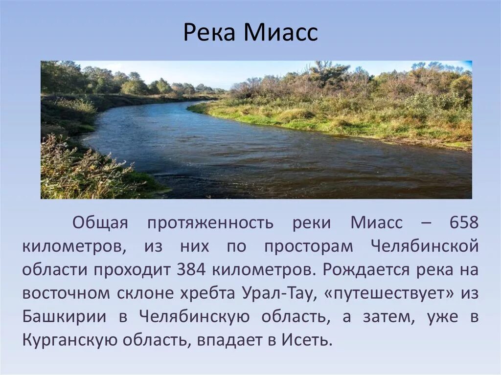 Притоки реки Миасс Челябинской области. Протяженность реки Миасс в Челябинске. Сообщение о реке Миасс. Река Миасс впадает. Река тобол исток и устье