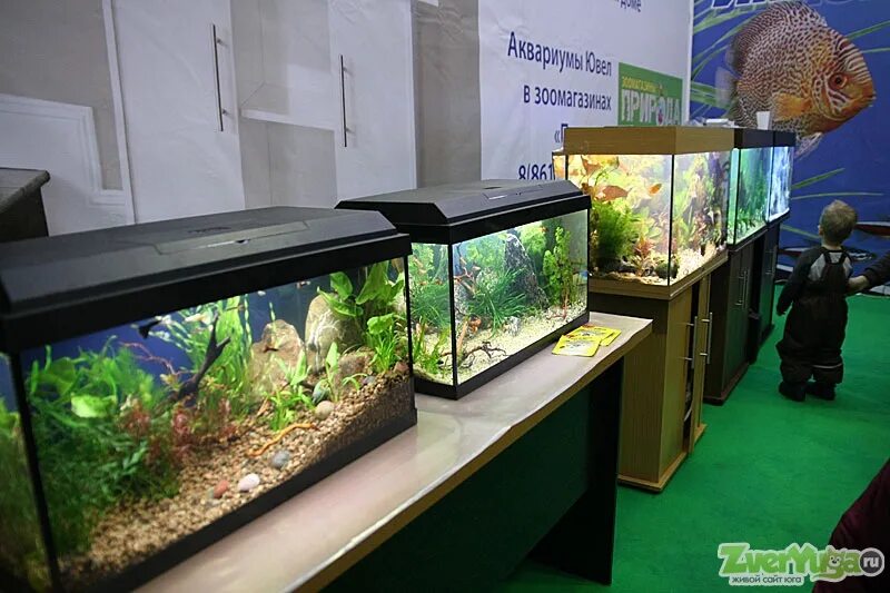 аквамакс краснодар. аквариумный магазин краснодар. аквариумный магазин краснодар. зоомагазин аквариум. аквариумные магазины в краснодаре.