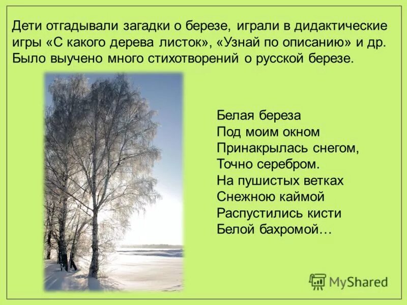 Как выучить белая береза. Как быстро выучить стих берёза. Стих есенина белая береза. Стихотворение сергея есенина береза. Рассказ белая береза.