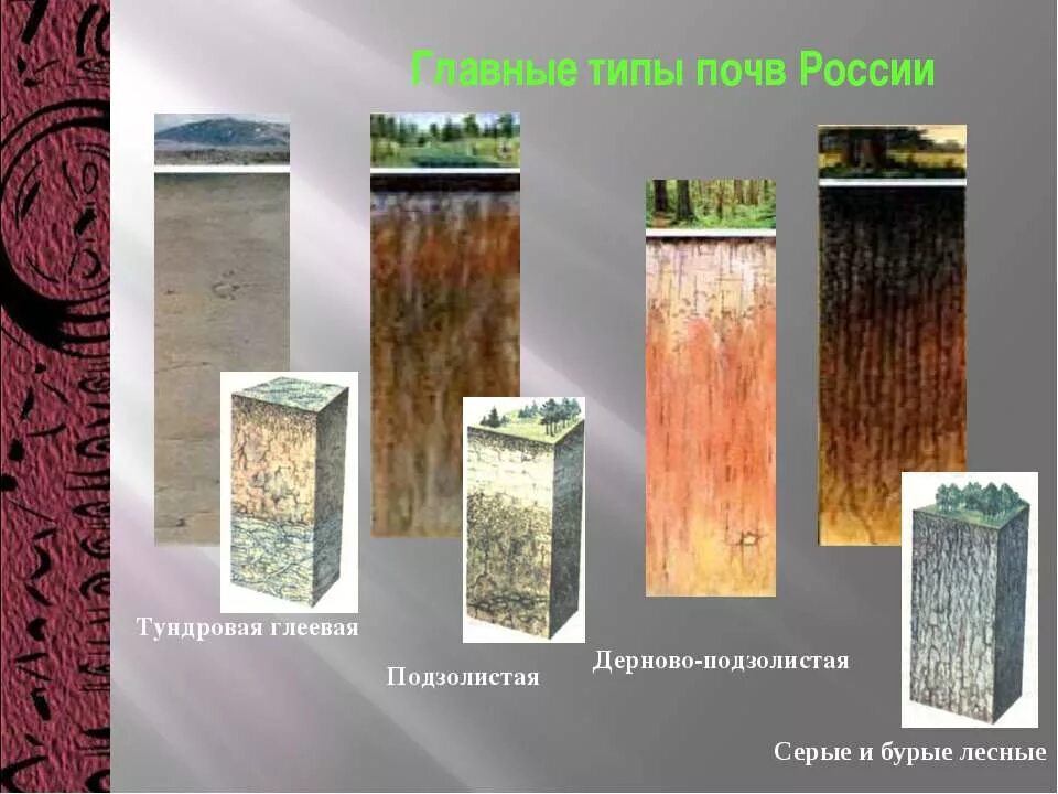 География почв россии таблица 8 класс природные зоны типы почв. Типы почв россии название почвы. Главные типы почв россии таблица 8 класс география. Таблица закономерности распространения почв 8 класс география. Основные типы почв россии таблица 8.