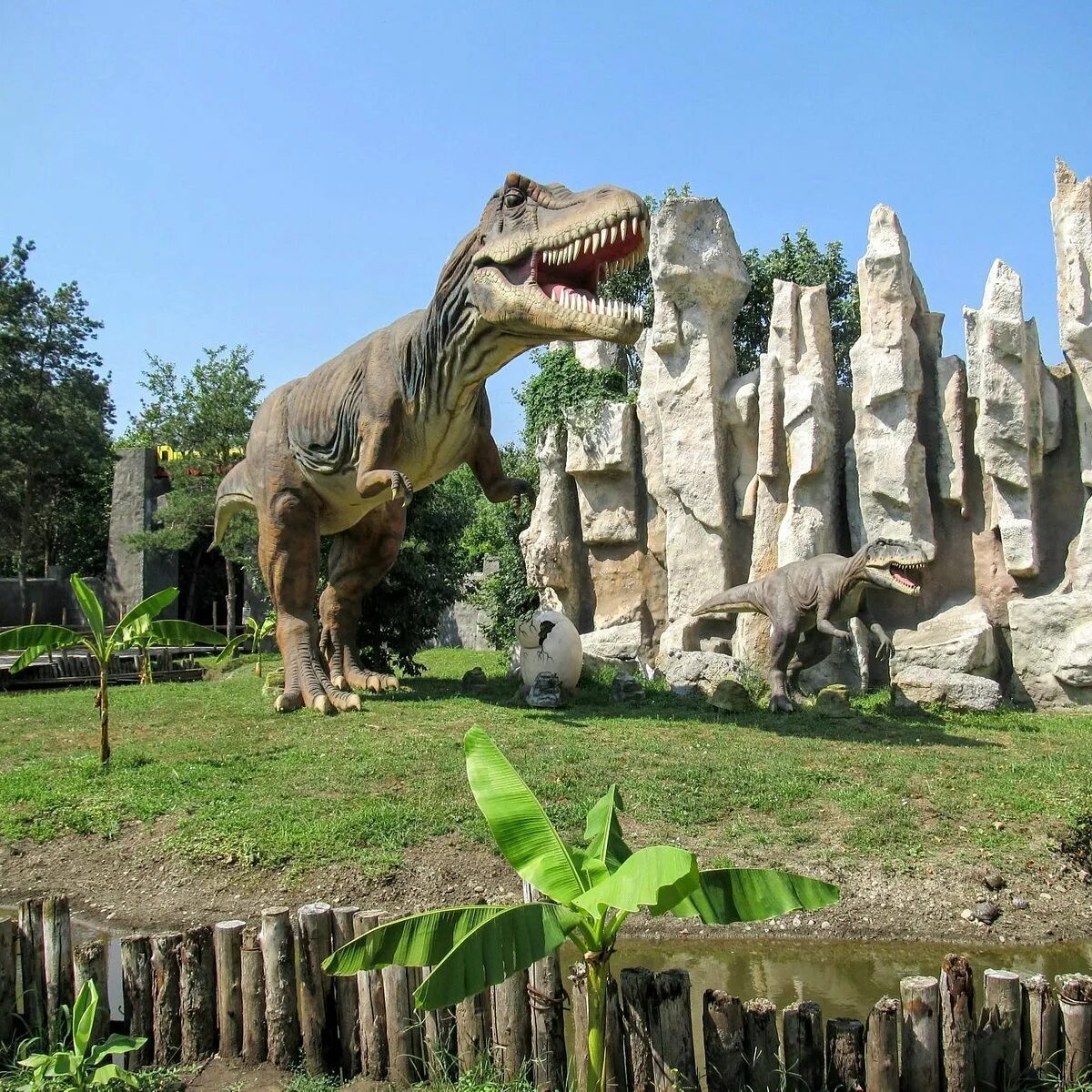 Зоопарк в краснодаре сафари парк. Парк солнечный остров краснодар сафари парк. Краснодар зоопарк сафари. Зоопарк в краснодаре сафари парк. Солнечный остров краснодар сафари парк.