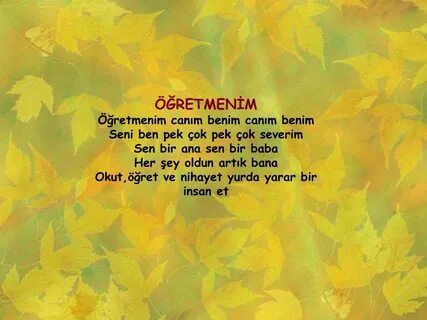 Canim sen canim