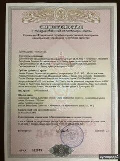 Зеленка на дом