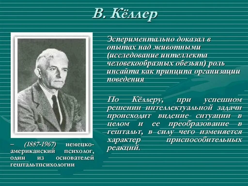 Опыт новой теории. Келлер исследование интеллекта человекообразных обезьян. Гештальтпсихология основоположники. Теория Келлера. Гештальтпсихология эксперименты.