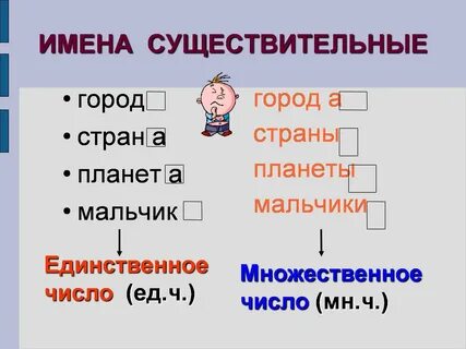 Примеры имен существительных множественного числа
