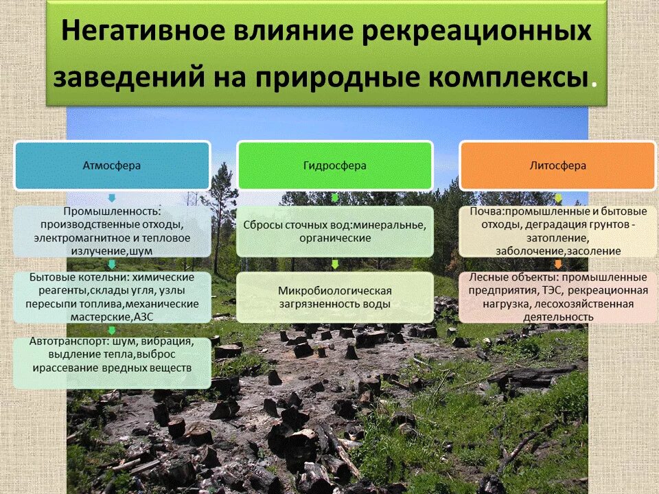 Рекреационный потенциал леса. Хозяйственная деятельность экология. Влияние хозяйственной деятельности. Факторы антропогенного воздействия на окружающую среду. Природная деятельность человека.