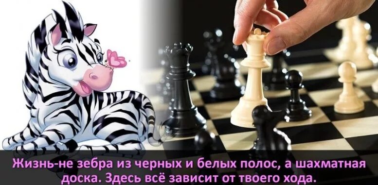 После белых полос. Жизнь не зебра а шахматная доска. жизнь не зебра из черных и белых полос. жизнь не зебра из черных. жизнь не доска из черных и белых полос а шахматная.