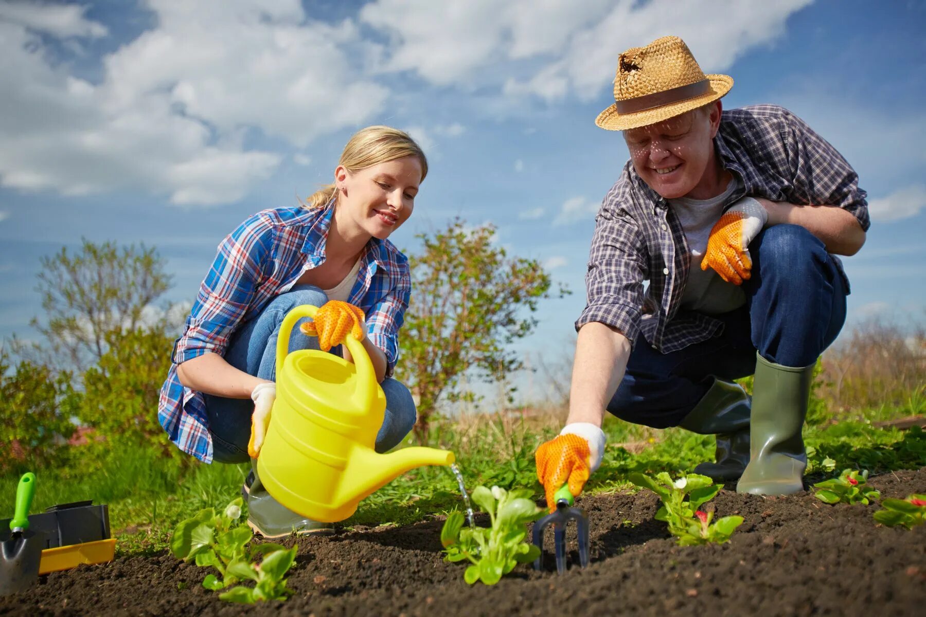 Садовод огородник. Урожай на грядке. Люди трудятся в саду. Лето огород. They like gardening