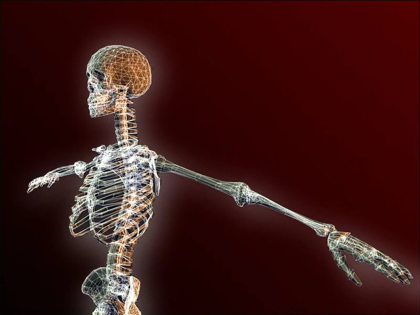 Скелет человека. Гигантские живые скелеты рисунки.