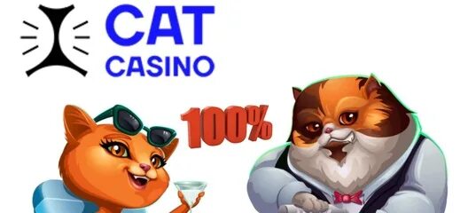 Cat casino бонус всетопказино4. Кэт казино. Казино Cat регистрация. БИК Cat Casino. Заносы Cat Casino.