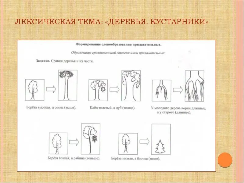 Тема деревья в подготовительной логопедической группе. Логопедические задания на тему деревья и кустарники. Домашнее задание по теме деревья. Лексическая тема деревья и кусты. Логопедические задания на тему деревья.