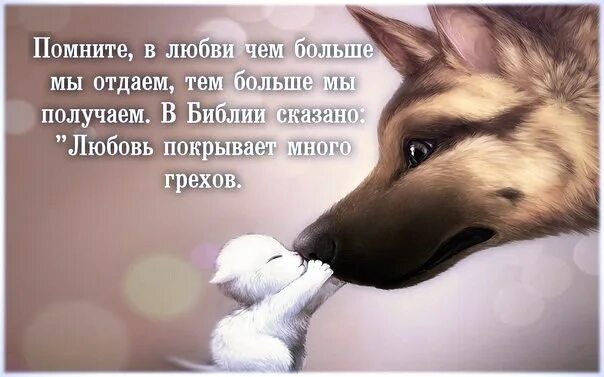 Не виновата что так сильно влюбилась. Красивые извинения перед парнем за обиду. извини меня за мое поведение. как сделать так чтоб тебя простили?. прощения у девушки за свои поступки.