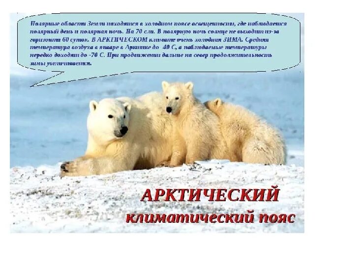 Пояса освещенности на карте. Презентация о полярной ночи. Полярный пояс земли. Арктический климат характеристика. Северный умеренный пояс.