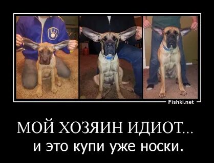 Хозяин мелодии