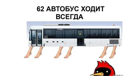 Почему не ездят автобусы