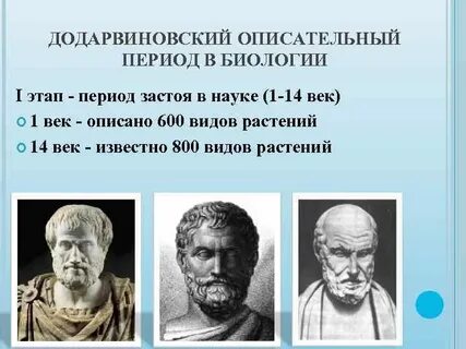 Развитие биологии в додарвиновский период