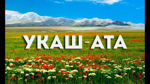 В1 ата