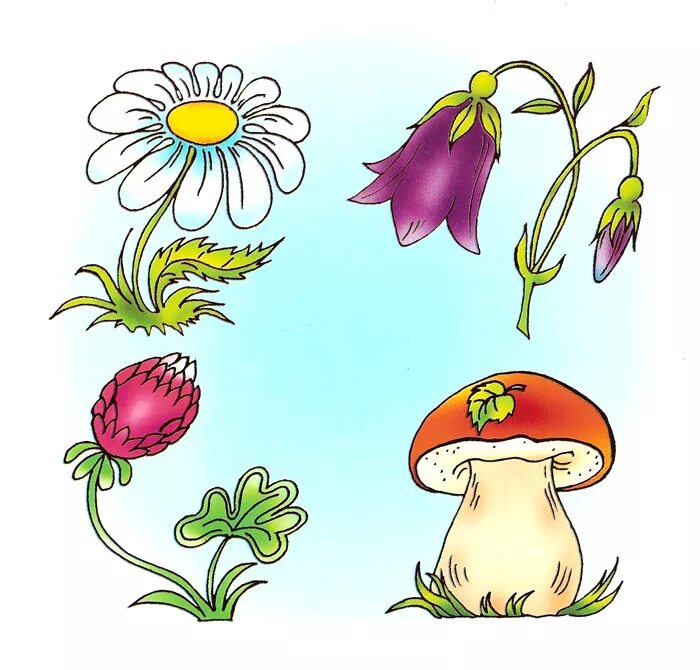 четвертый лишний задания для дошкольников. что лишнее 5 6 лет. что лишнее картинки для детей. задания 4 лишний для детей 5-6 лет. четвертый лишний.