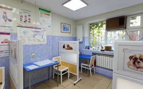 Ветклиника доверие краснодар первомайская
