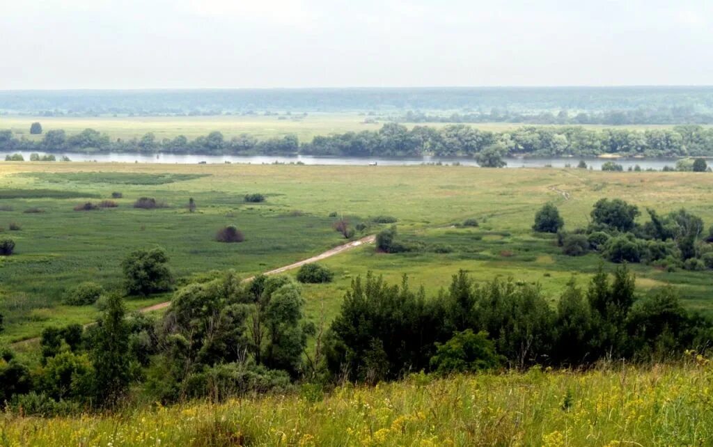 Село вакино рязанская область. Деревня вакино рязанская область. Вакино. Вакино. Вакино колокольня.