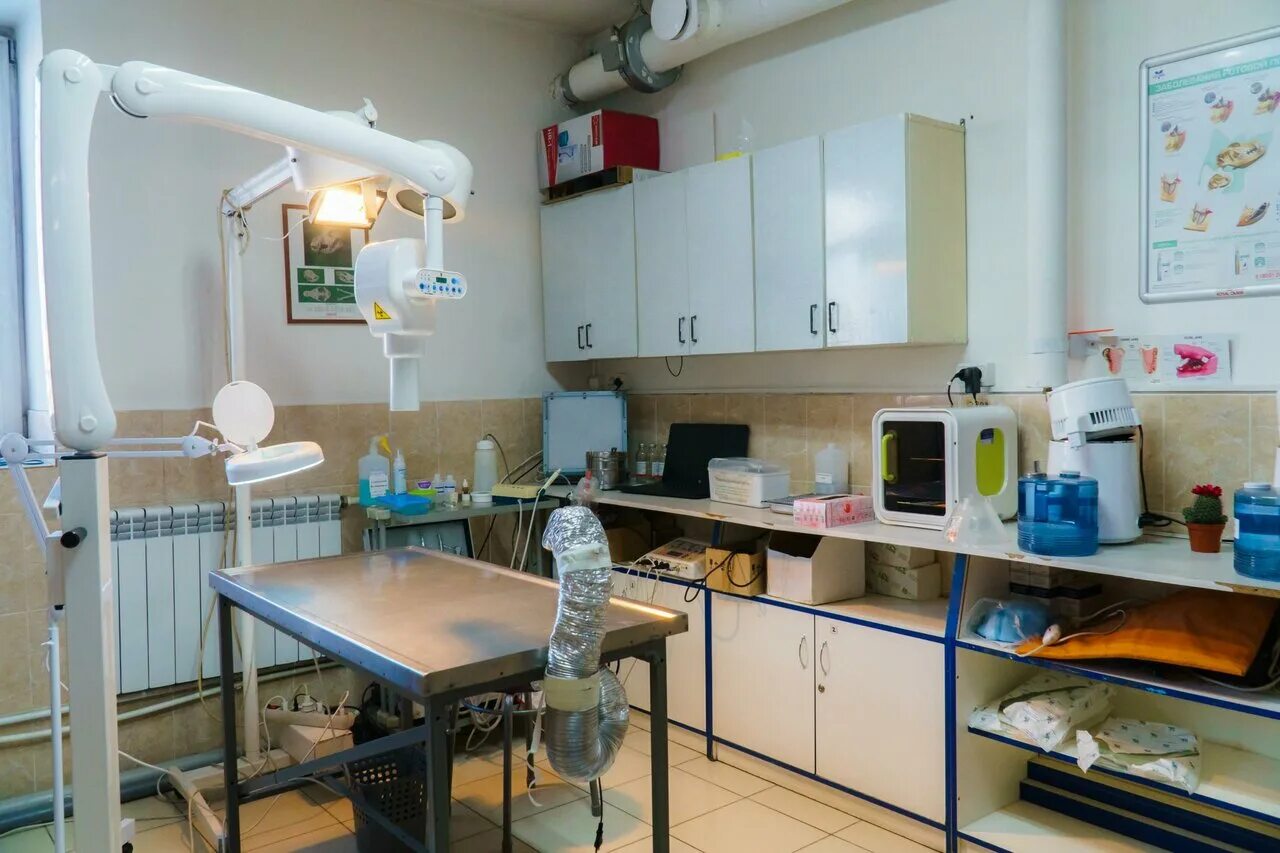 улан-удэ ветеринарная айболит ветеринарная клиника улан. айболит улан удэ телефон. айболит ветеринарная клиника улан-удэ номер. айболит ветеринарная клиника улан-удэ. клиника айболит улан-удэ.