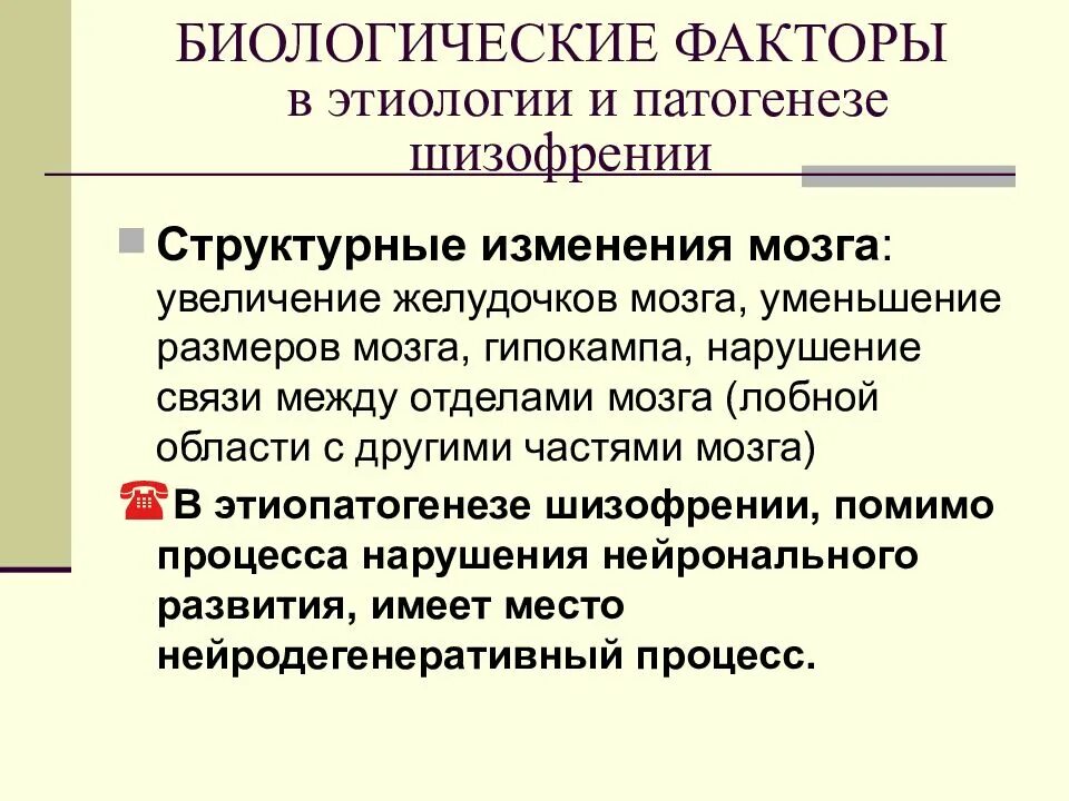 Структурные изменения в мозге. Структурные изменения в мозге
