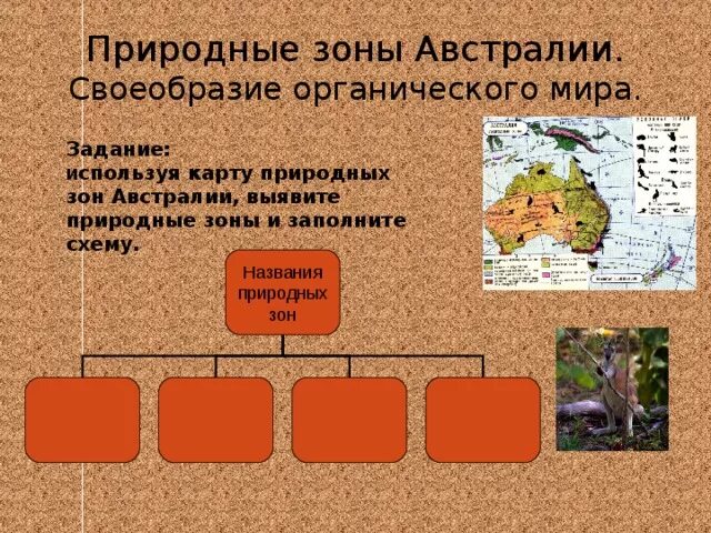 Природные зоны Австралии. Карта природных зон Австралии. Природные зоны Австралии 7 класс. Название природных зон австралии