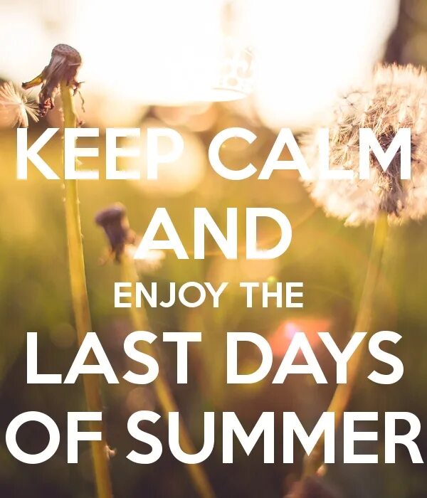 Last summer we to live. Саммер Дэй. Enjoy Summer. Last Day of Summer. Last Summer month.